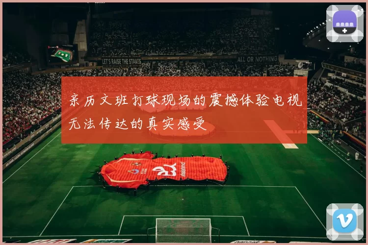 亲历文班打球现场的震撼体验电视无法传达的真实感受