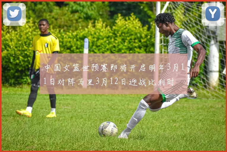 中国女篮世预赛即将开启明年3月11日对阵马里3月12日迎战比利时